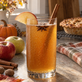 Glass of amber apple kombucha garnished with an apple slice and cinnamon stick