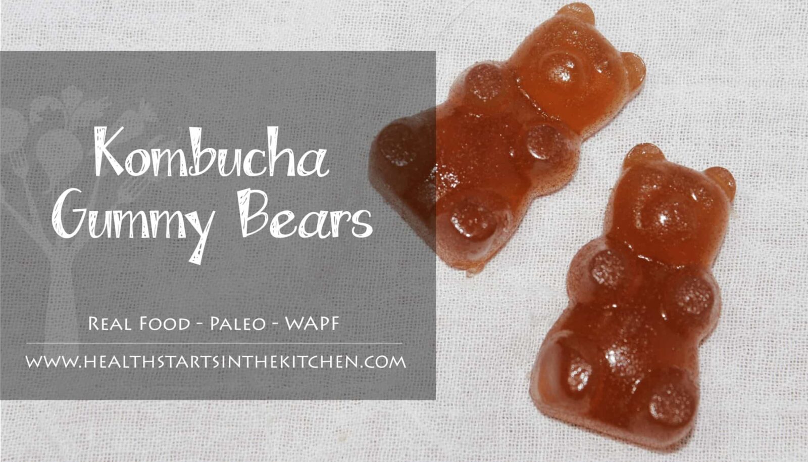 Kombucha Gummy Bears