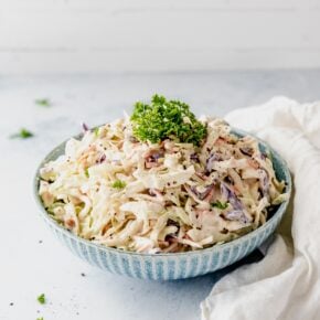 the best low carb coleslaw recipe