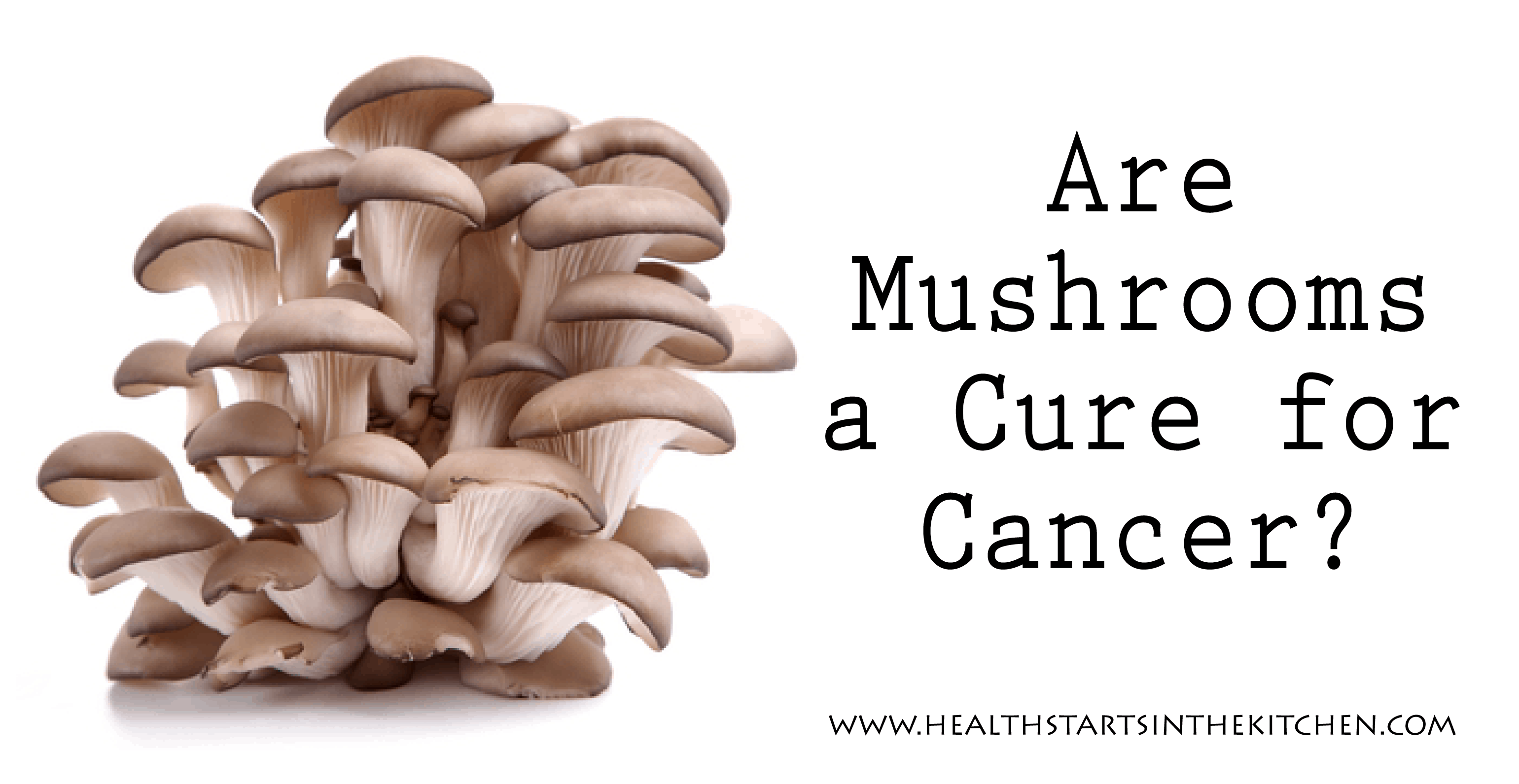 Can mushrooms aid in the treatment of cancer?