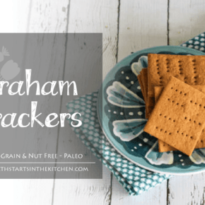 Homemade Grain, Gluten & Nut Free Graham Crackers (Paleo Friendly)