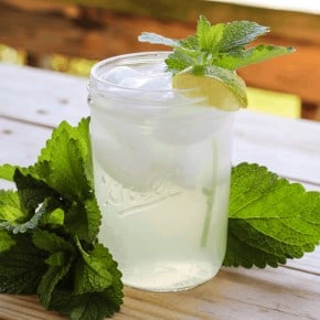 The Easiest way to use fresh lemon balm; Lemon Balm Iced Tea