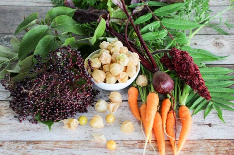 Elderberry, Ground Cherry & Sumac Juice Health Starts in the Kitchen