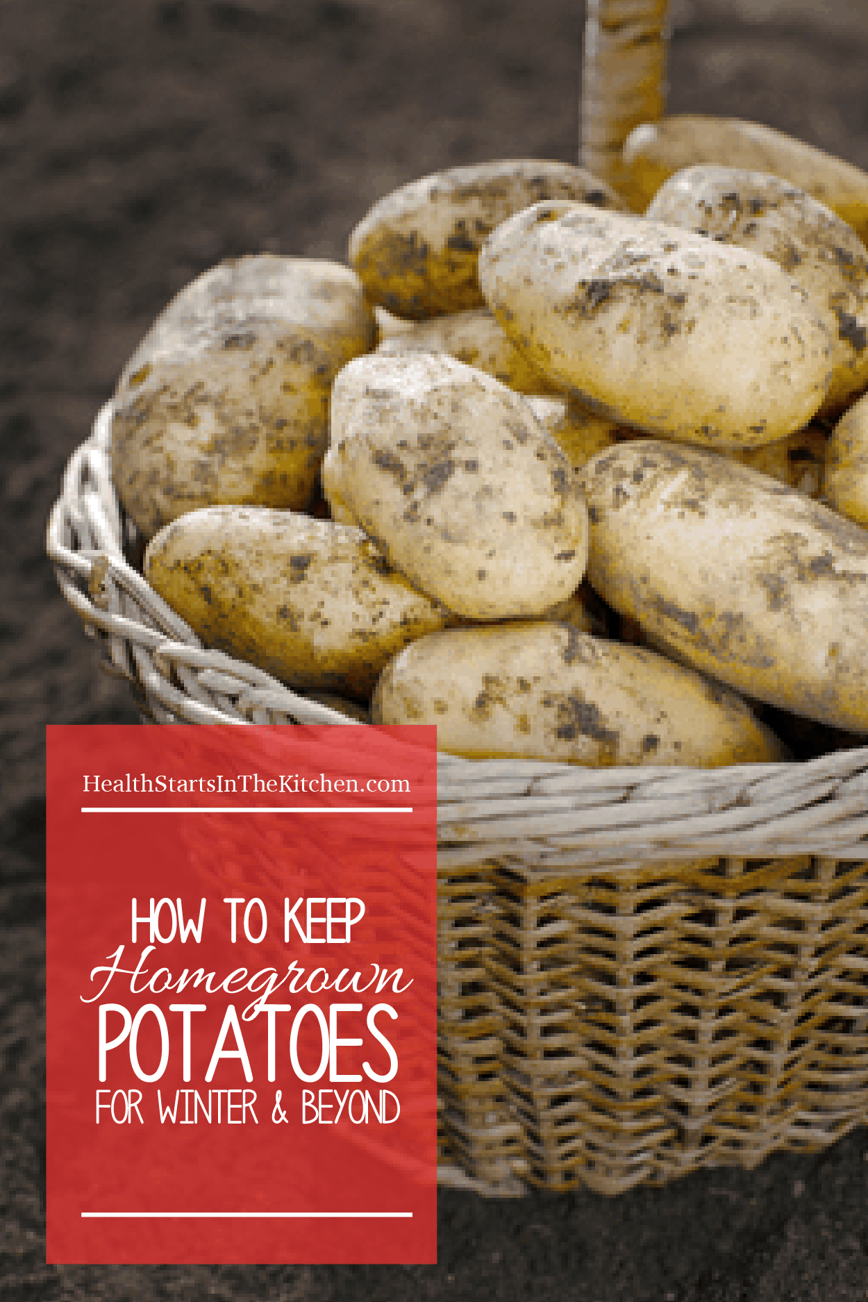 Retainer Potatoes How to keep homegrown potatoes for winter and beyond – Health Starts in ...