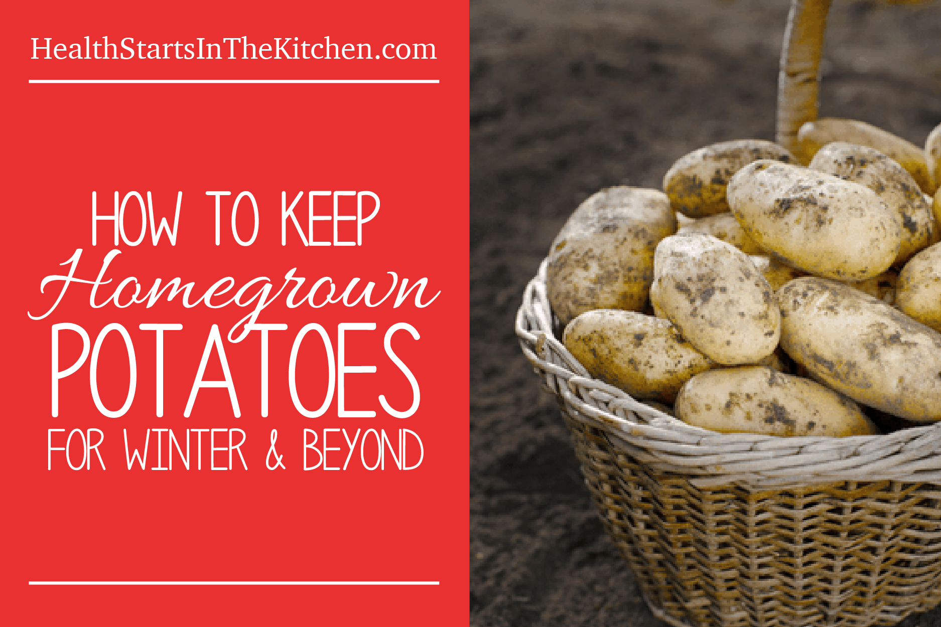 How to keep homegrown potatoes for winter and beyond