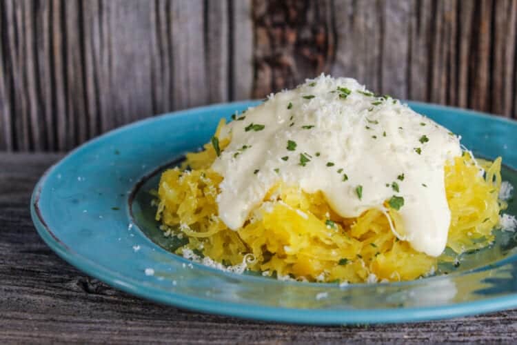 3 Ingredient, LowCarb, Blender Alfredo Sauce Health Starts in the