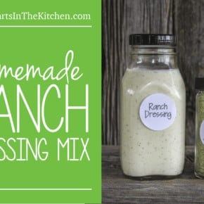 Homemade Ranch Dressing & Dip Mix - Healthy & All Natural