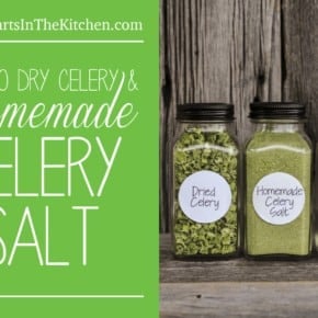 Homemade Celery Salt Recipe and How To Dry Celery and Celery Leaves