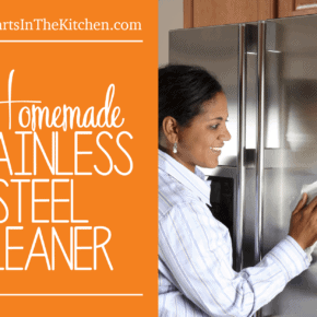 OMG this is the BEST Homemade Stainless Steel Spray Cleaner! All-Natural & smells great, too.
