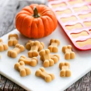 These Frosty Pumpkin Dogs Treats are the perfect way to help elimate fall itchy skin that many dogs experiece! With just a few simple & healthy ingredients, you can whip up a batch of delicious treats to calm your dogs fall-inflamed skin!
