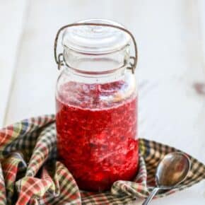 Fermented Cranberry Orange Relish {Health Starts in the Kitchen}