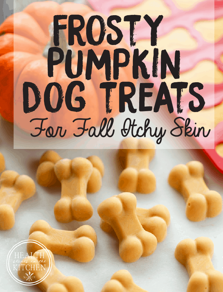 Frosty Pumpkin Dog Treats {helps eliminate fall allergies}