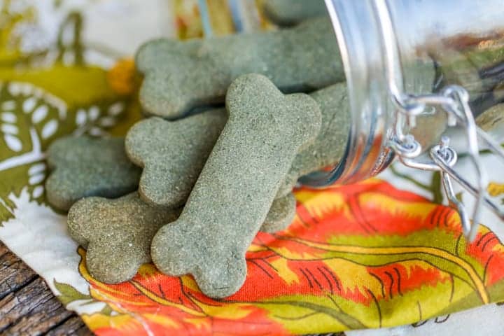 Homemade Greenies: Easy Homemade Dog Treats for Bad Breath
