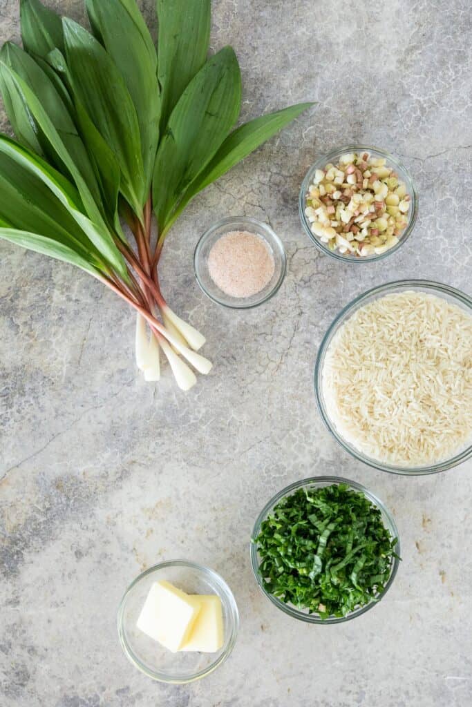 ingredients laid out on a grey background for making ramp rice