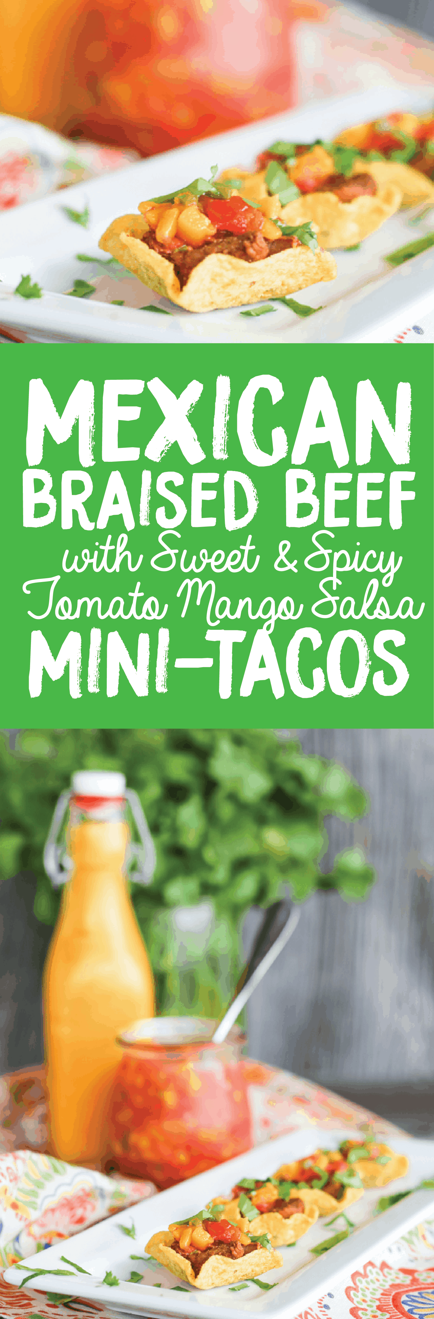 Mini Mexican Braised Beef Tacos