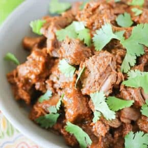 Carne Estofada {Mexican Braised Beef} for the Oven, Pressure Cooker or Slow Cooker Istru