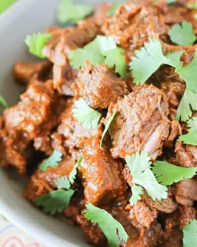 Carne Estofada {Mexican Braised Beef} for the Oven, Pressure Cooker or Slow Cooker Istru