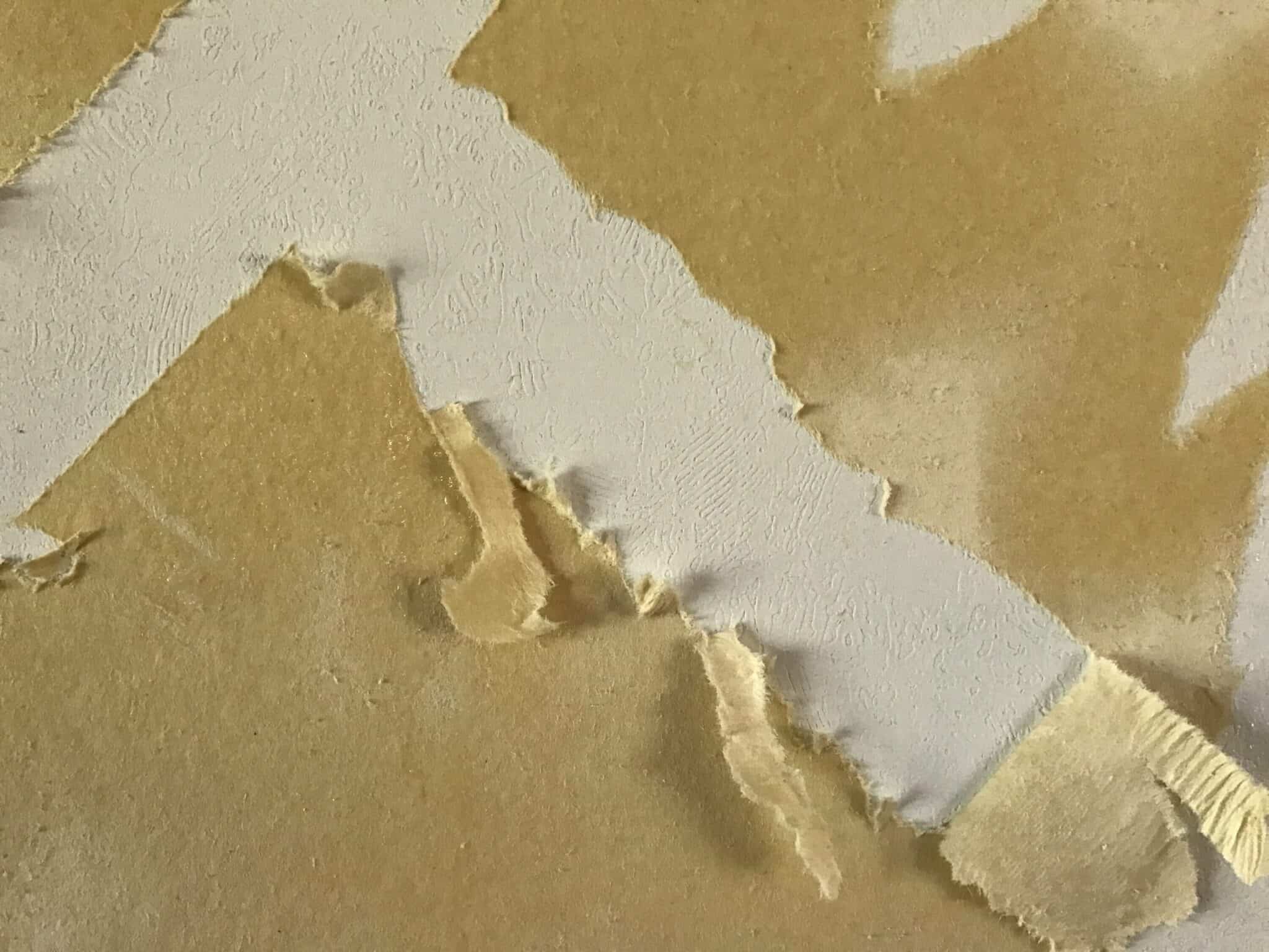Homemade Non-Toxic Wallpaper Remover Spray