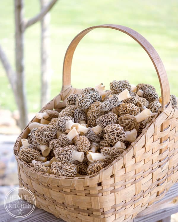 The Best Fried Morel Mushroom Recipe Health Starts in the Kitchen