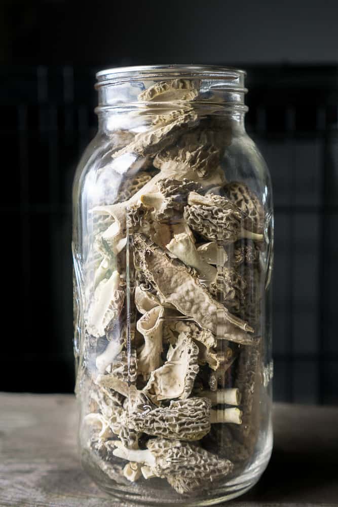 jar of freeze dried morel mushroom on a back background 