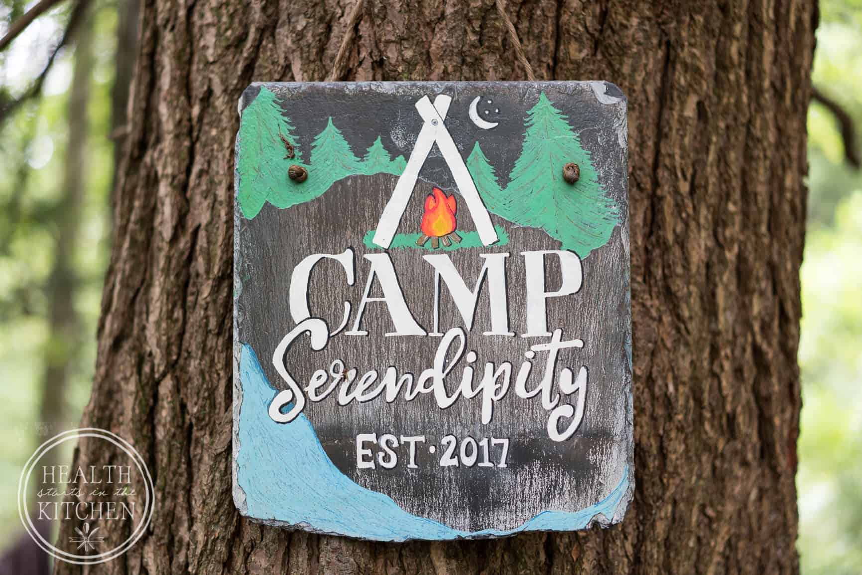 Welcome to Camp Serendipity