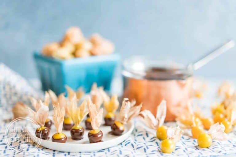 Dark Chocolate Covered Ground Cherries
