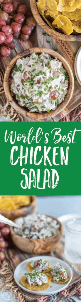 World's Best Chicken Salad - Real Food & Paleo Friendly