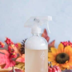 Pumpkin Spice Latte Non-Toxic Cleaning Spray