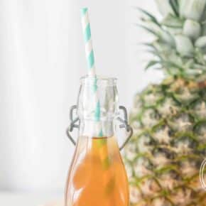 Sparkling Tepache Fermented Pineapple Drink