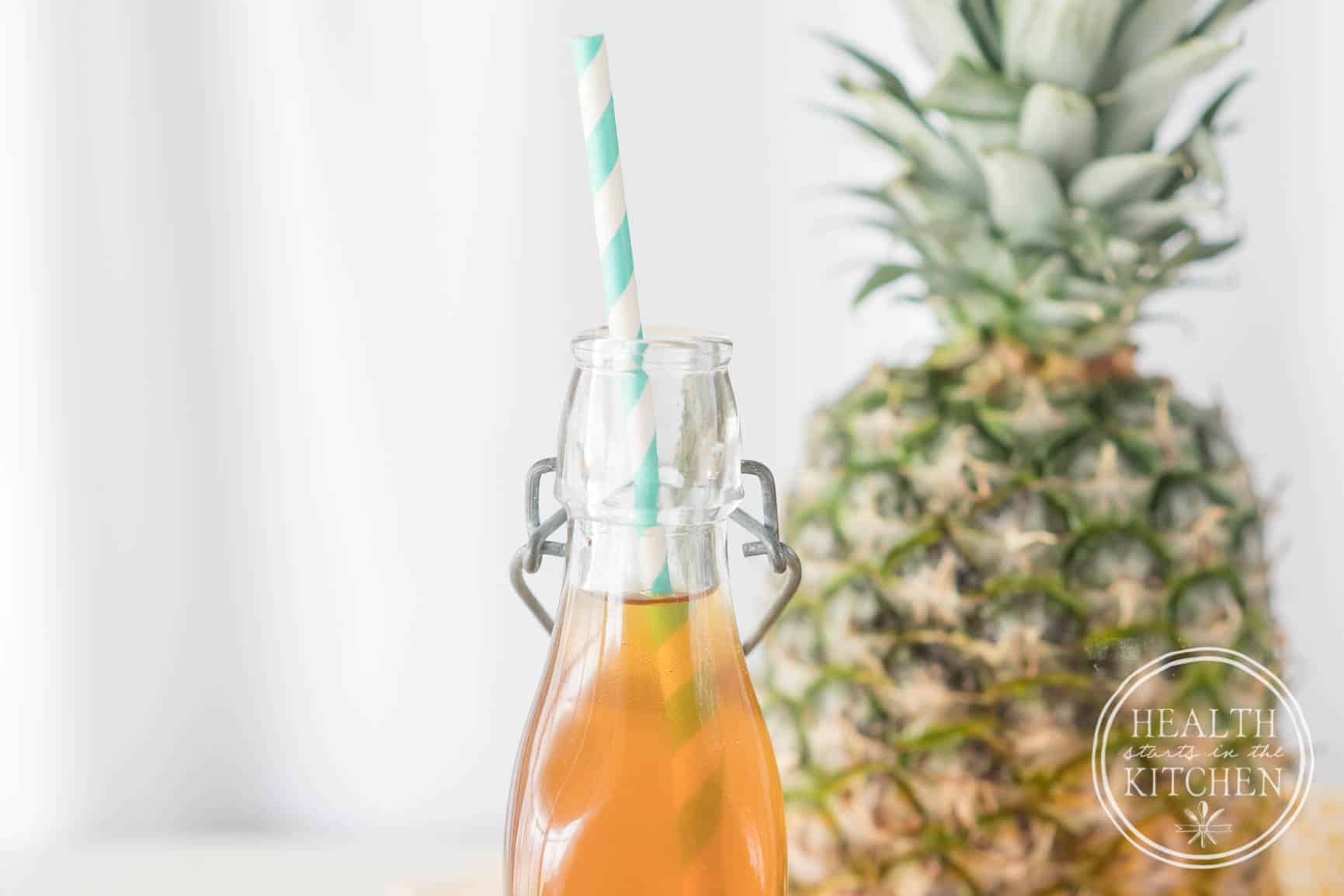 Sparkling Fermented Pineapple Drink Tepache