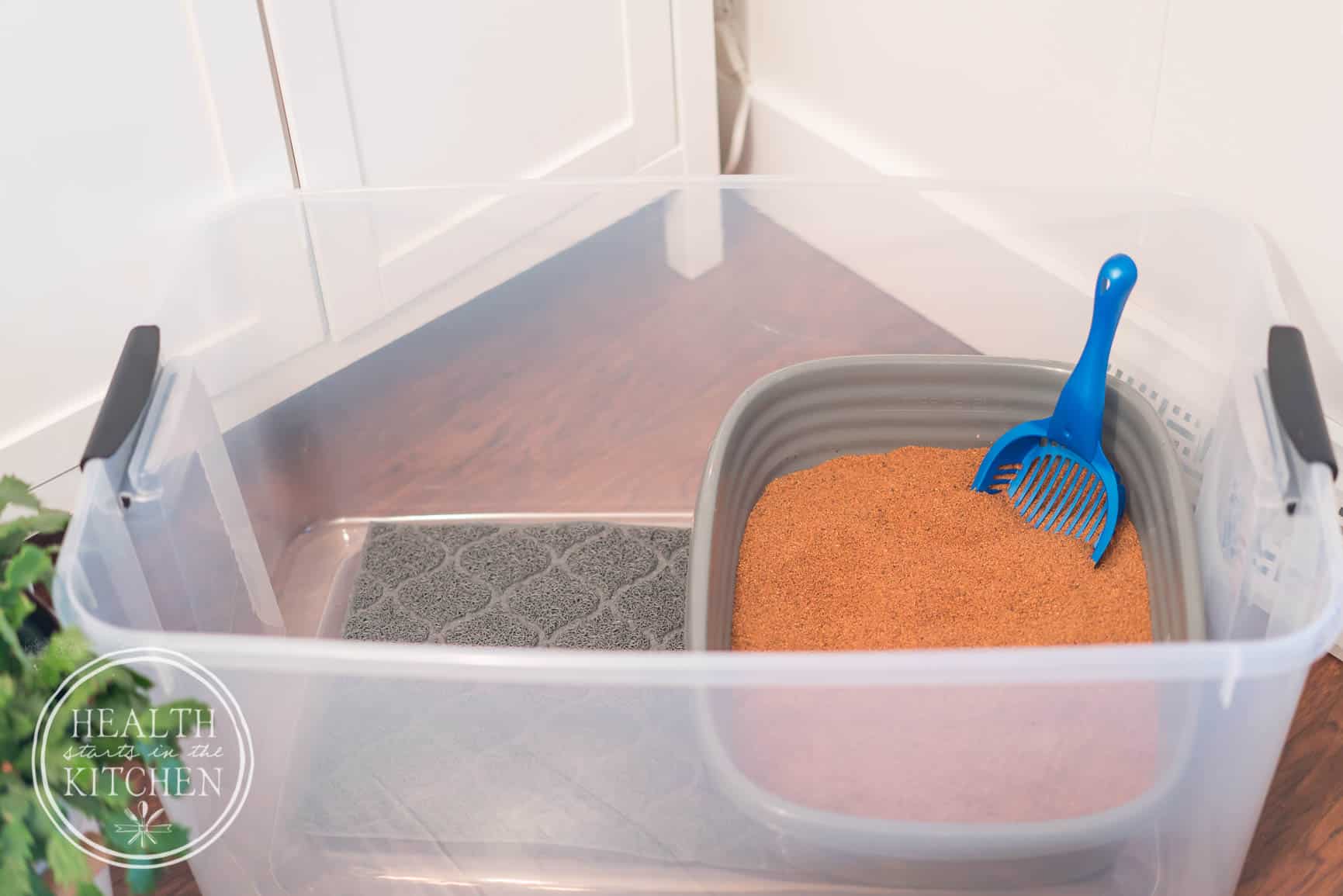 How to Upgrade to a Healthier Litter Box - Health Starts in the Kitchen