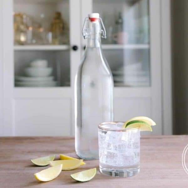 Homemade Sparkling Mineral Water Health Starts in the Kitchen