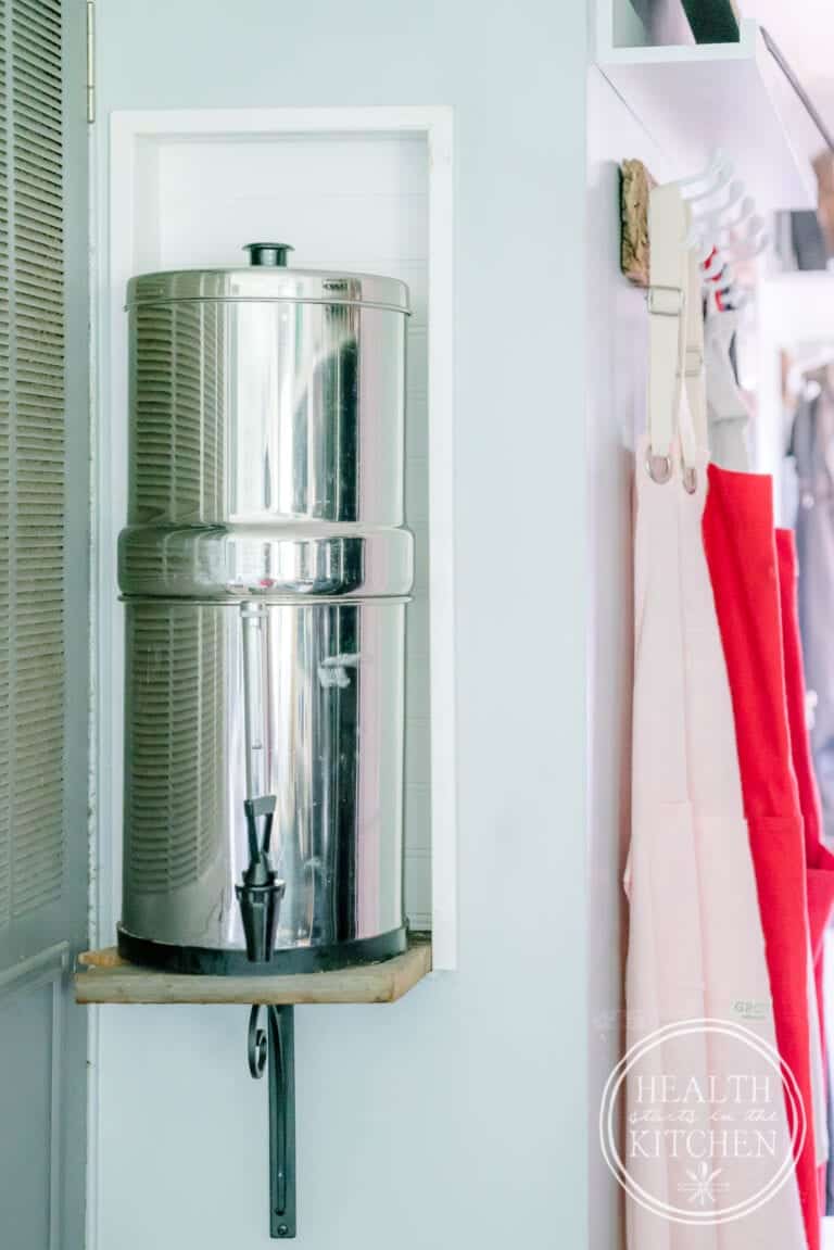 Homemade Sparkling Mineral Water Health Starts in the Kitchen