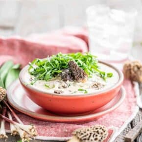 The Best Soup of Spring; Easy Morel Mushroom and Ramp Chowder