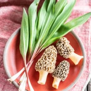 red plate with ramps and morel mushrooms