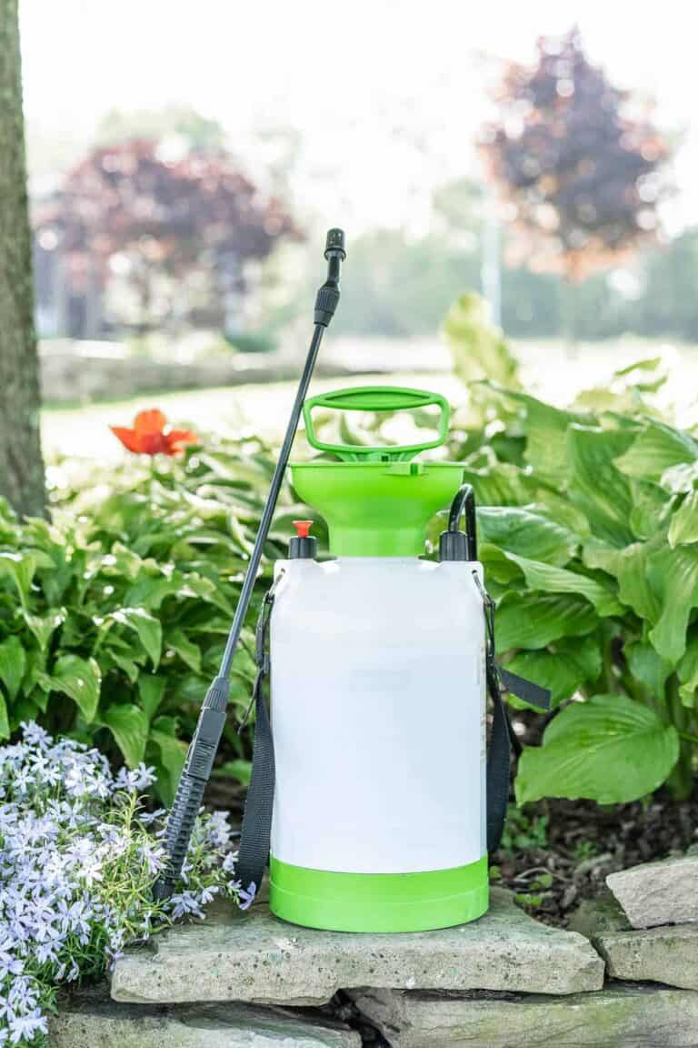 The Best Eco Friendly Weed Killer Recipe