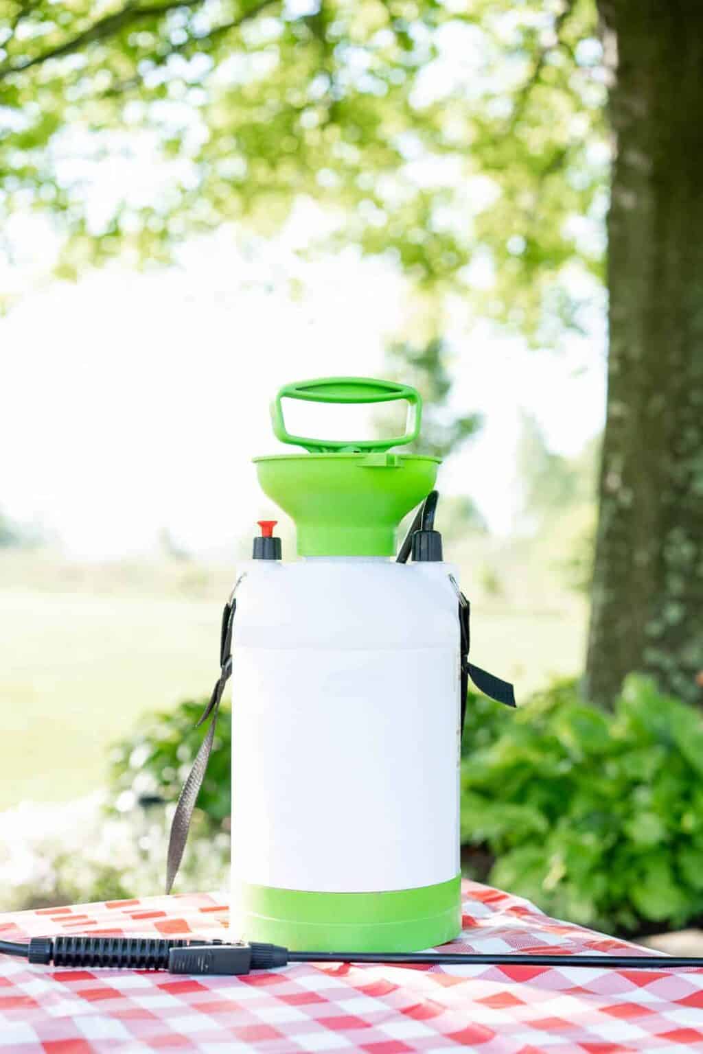 Homemade Natural Non Toxic Weed Killer (Easy DIY Recipe That Really