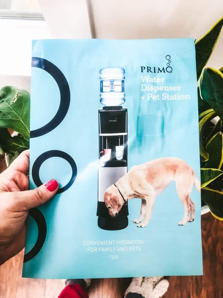 What is the Best Water for Dogs? Health Starts in the Kitchen