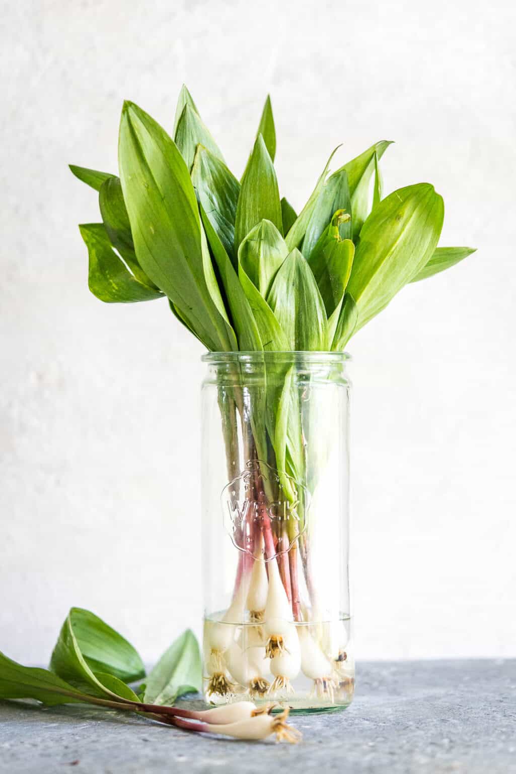 Creamed Ramp Greens Recipe Health Starts in the Kitchen