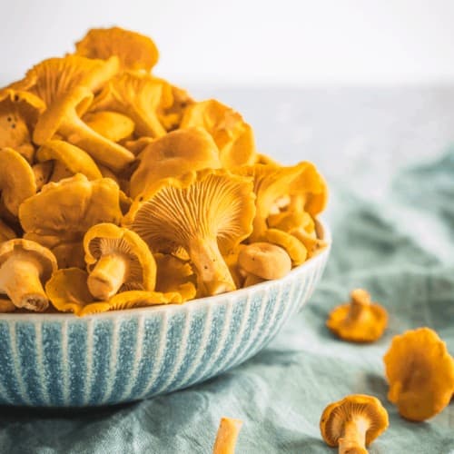 How to Make Fermented Ketchup Health Starts in the Kitchen