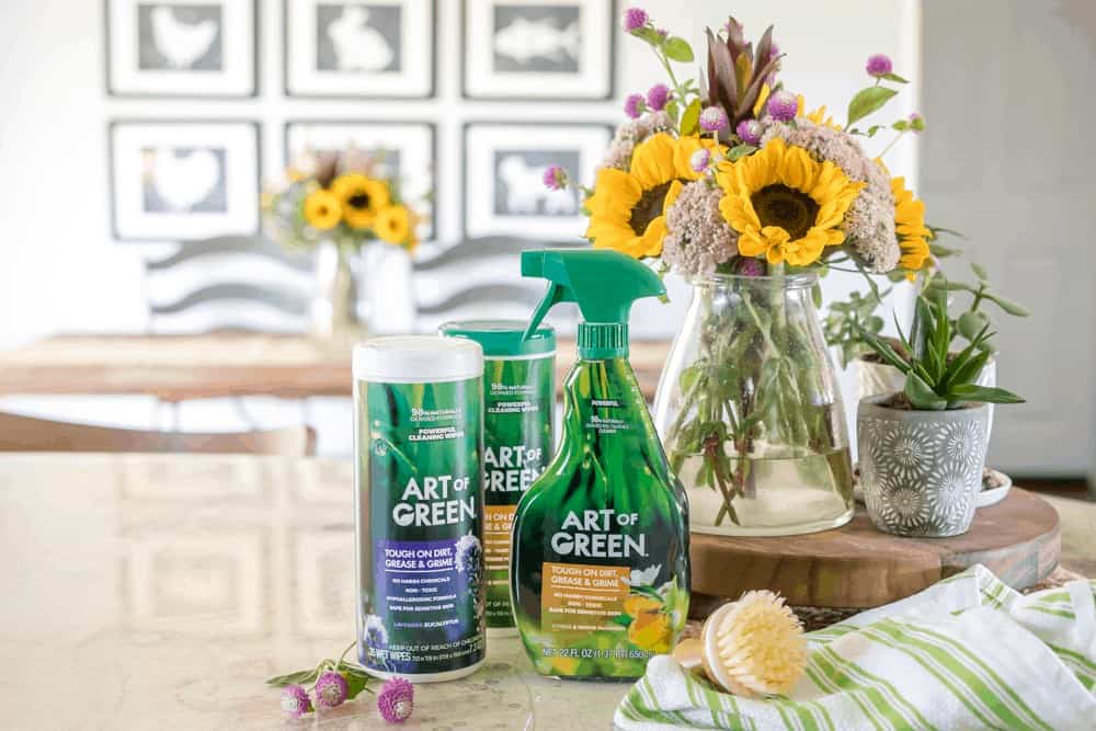 The Easiest way to Keep your Home Green and Clean