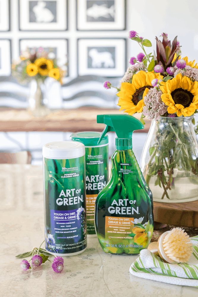 The Easiest way to Keep your Home Green and Clean with Art of Green