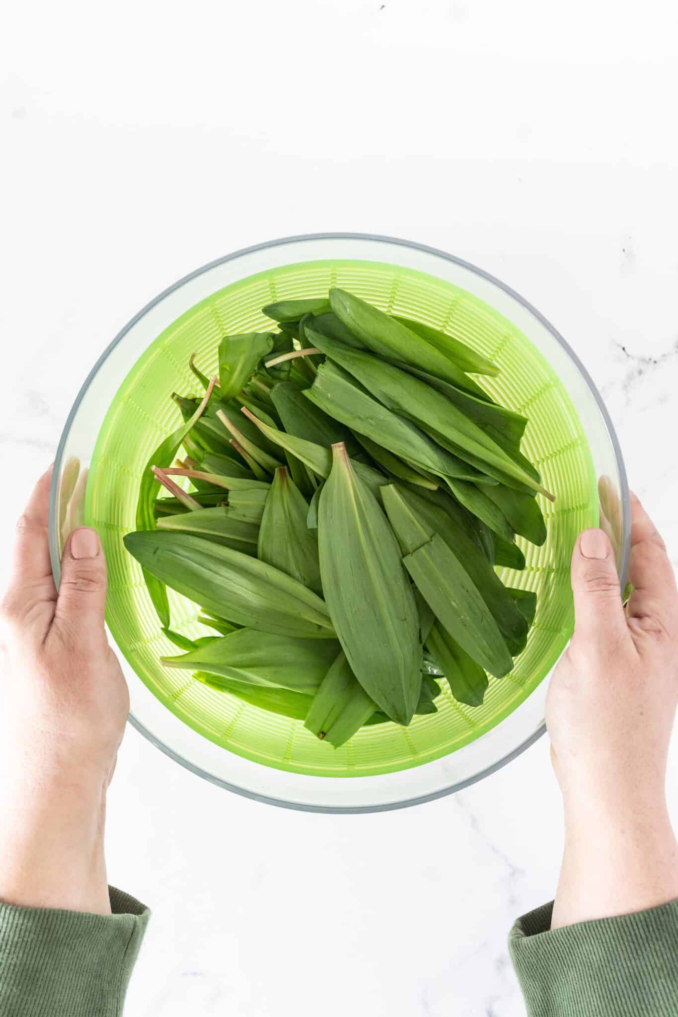 Creamed Ramp Greens Recipe Health Starts in the Kitchen