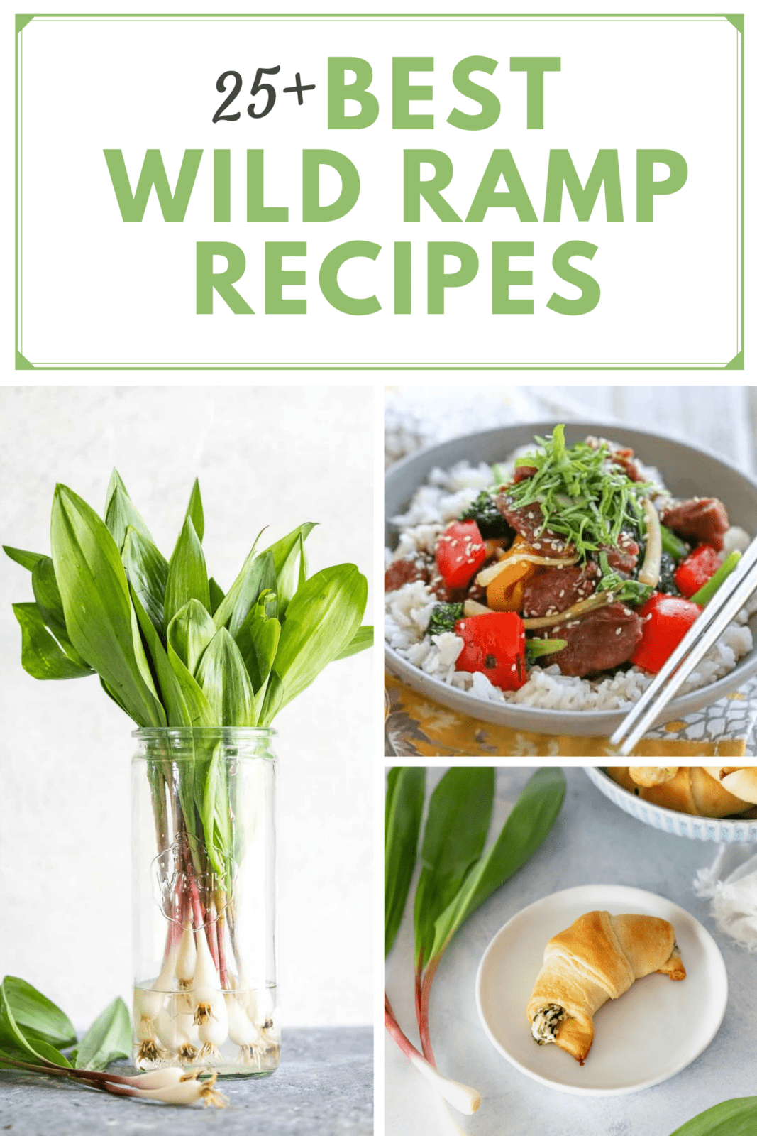 If you have never heard of wild ramps before, then you have been missing out! Also know as wild leeks, they are popular spring edible throughout Appalachia with a cult-like following. I've put together a list of the best recipes using ramps to inspire you to enjoy them in your kitchen!