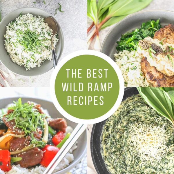 best wild ramp recipes