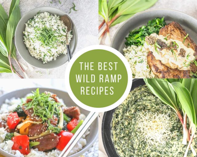 Wild harvested ramps Native American recipes