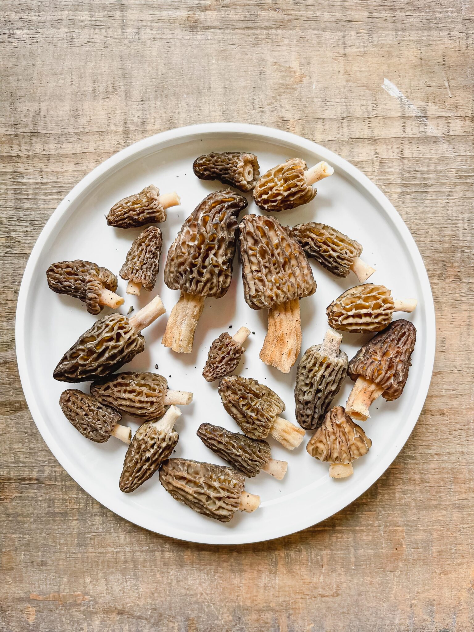 How to Clean and Store Morel Mushrooms – Health Starts in the Kitchen