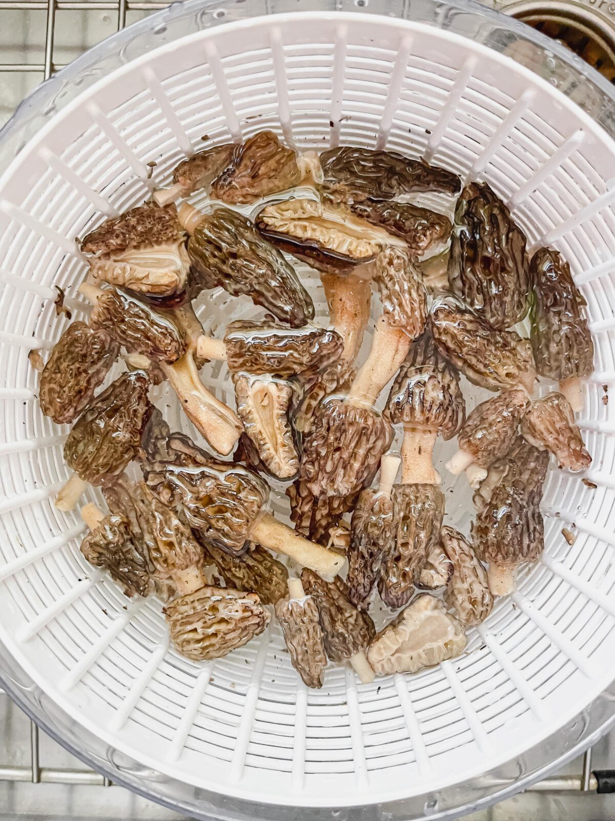 How to Clean and Store Morel Mushrooms – Health Starts in the Kitchen