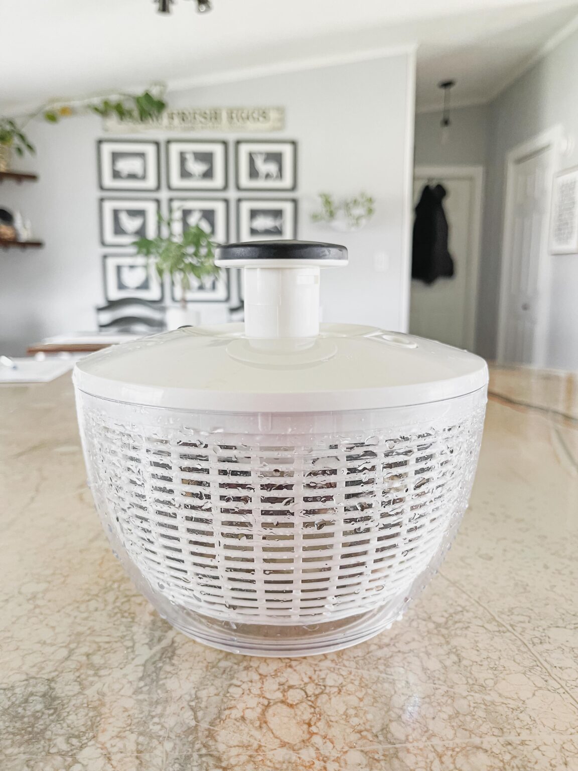 How to Clean and Store Morel Mushrooms – Health Starts in the Kitchen