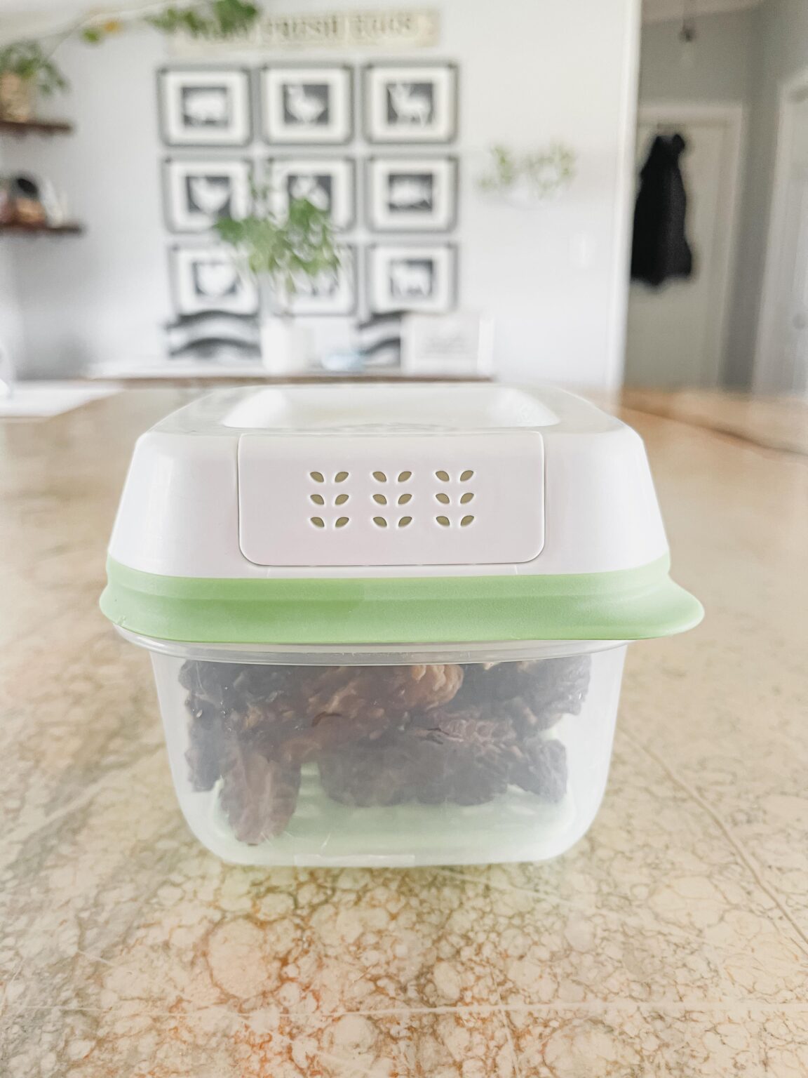 How to Clean and Store Morel Mushrooms – Health Starts in the Kitchen